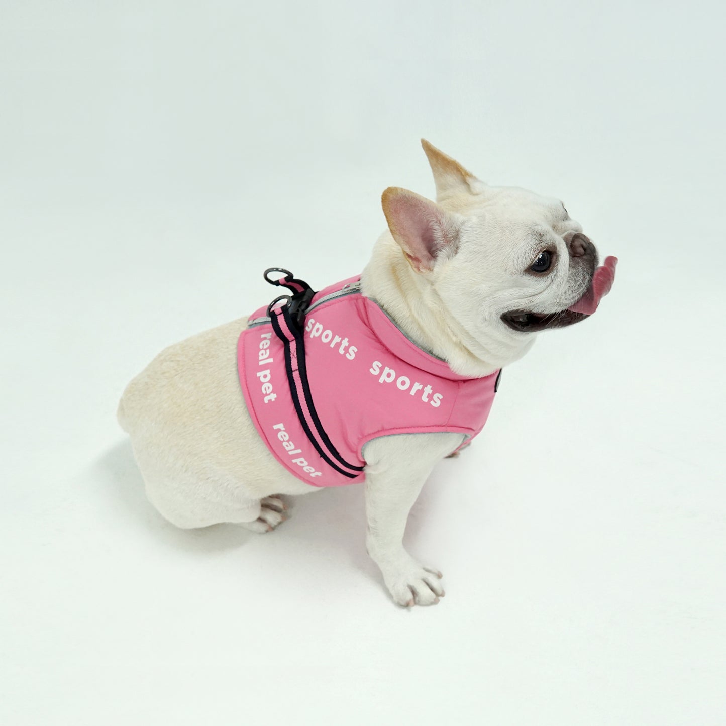SPORT SHORT PADDING HARNESS