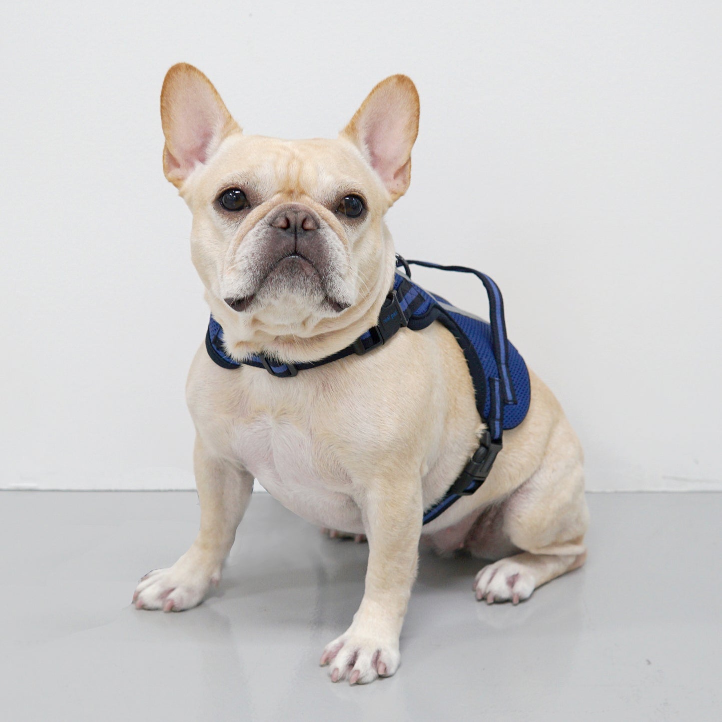 SUPPORT 3M HARNESS
