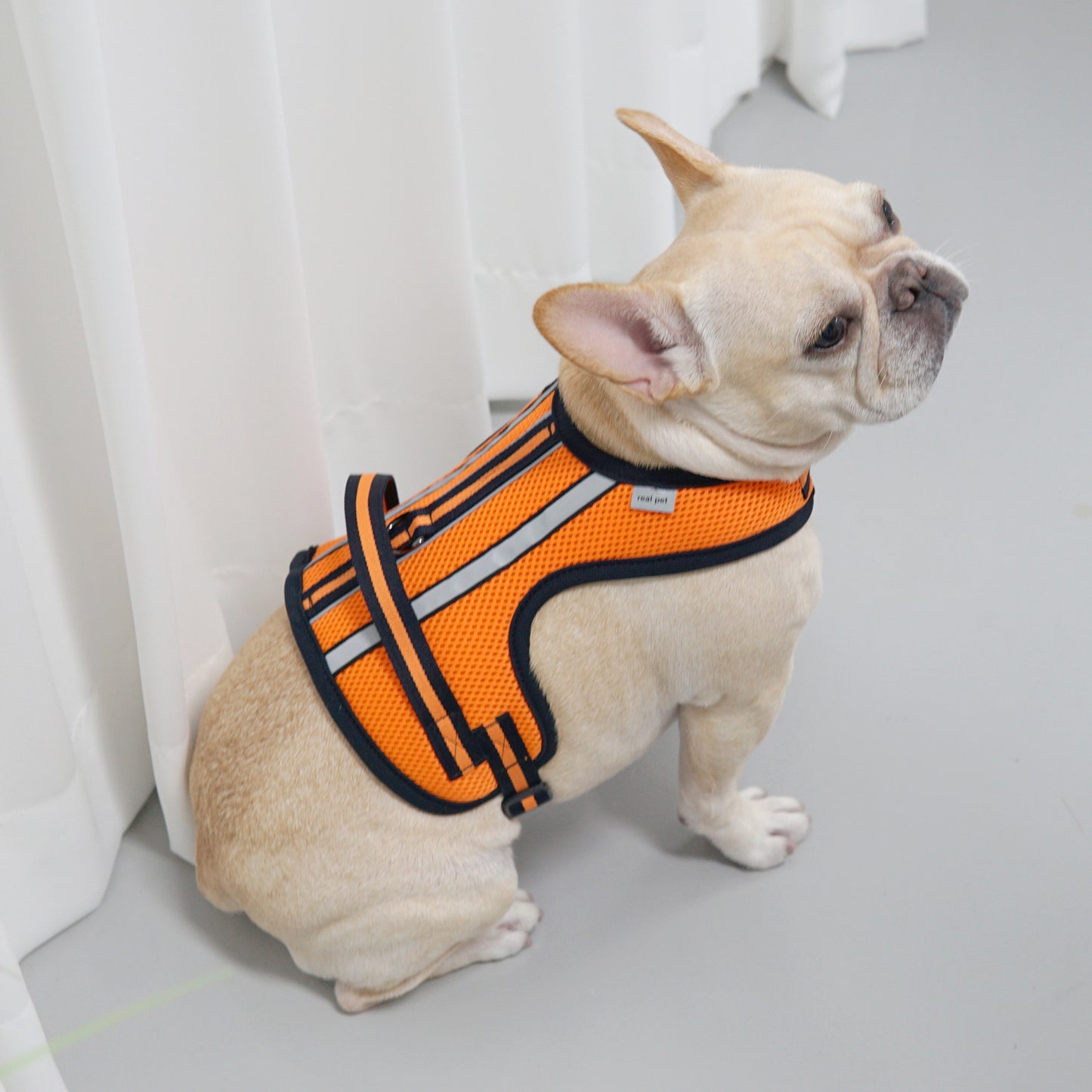SUPPORT 3M HARNESS