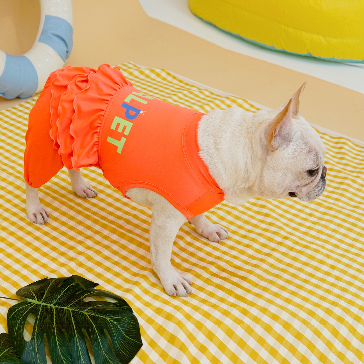 FRILL ALL IN ONE RASHGAURD