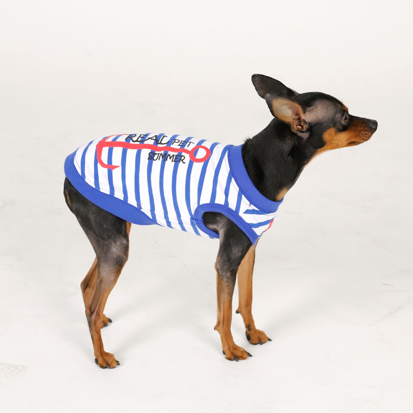 MARINE STRIPE ROUND