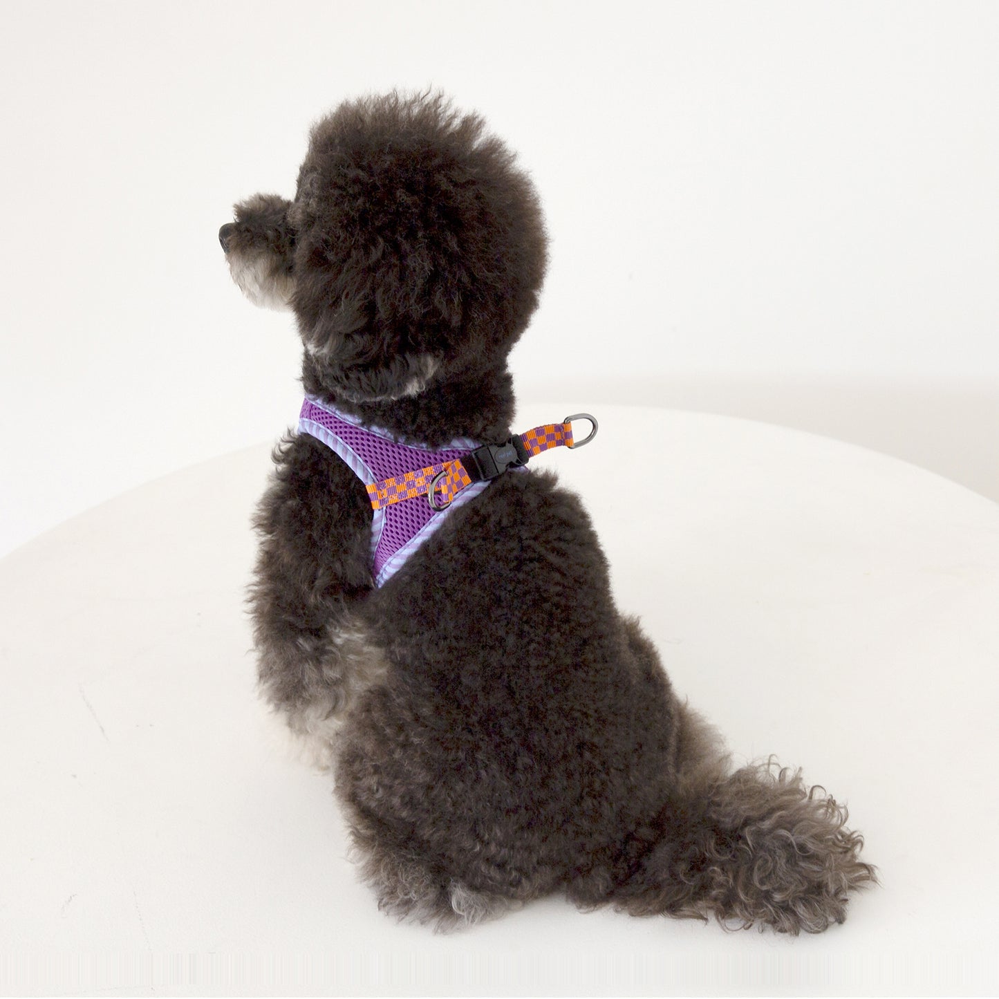 CHECK SLIM HARNESS