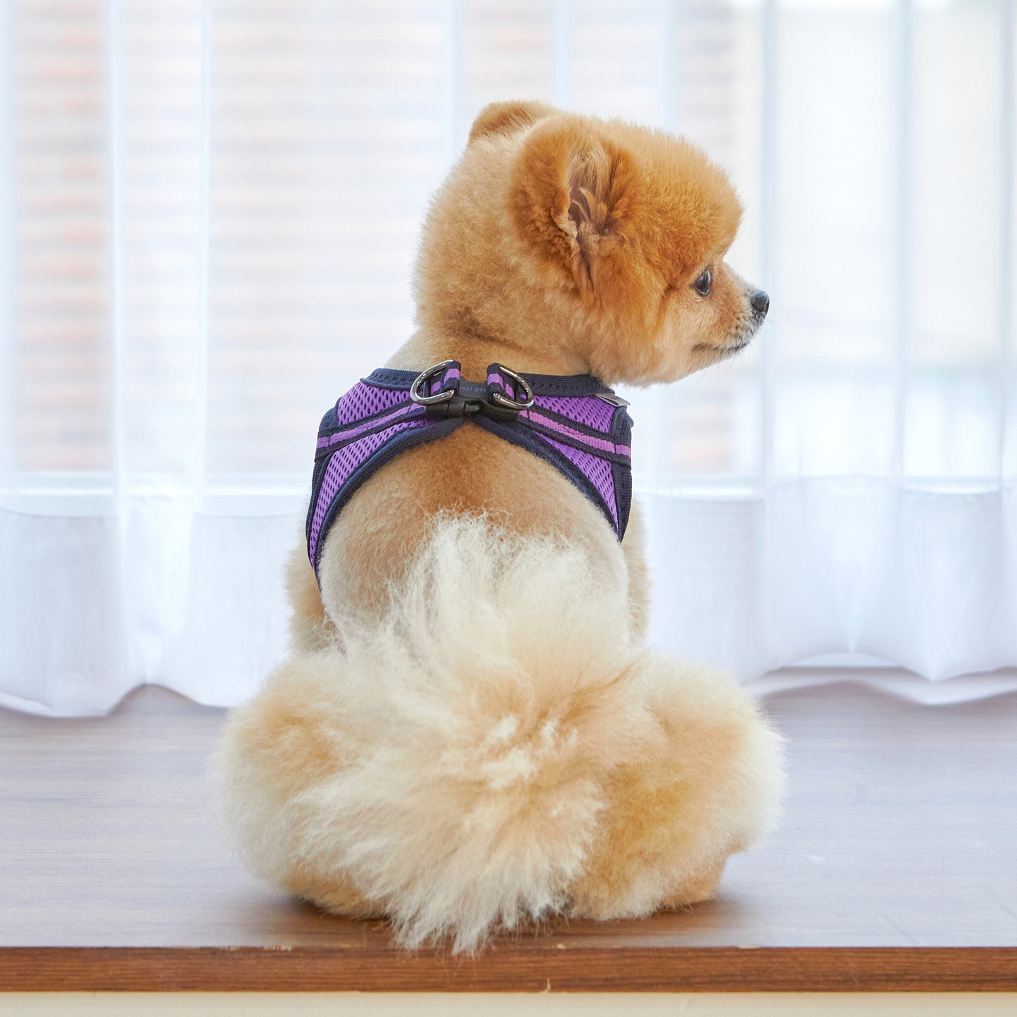 FOUR-SEASON SLIM VEST HARNESS