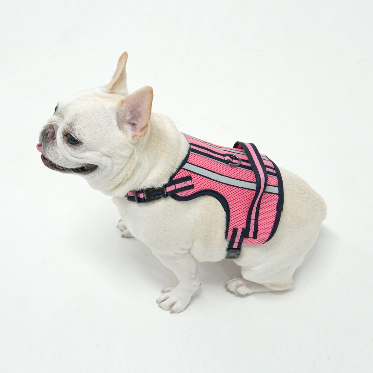 SUPPORT 3M HARNESS