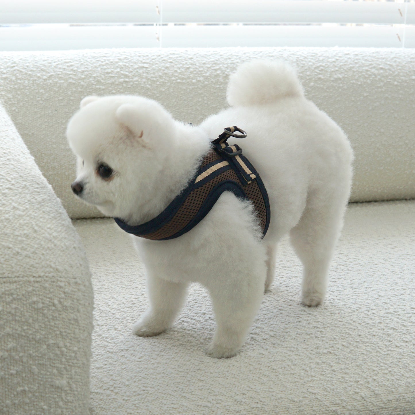 SIMPLY CONTROL HARNESS