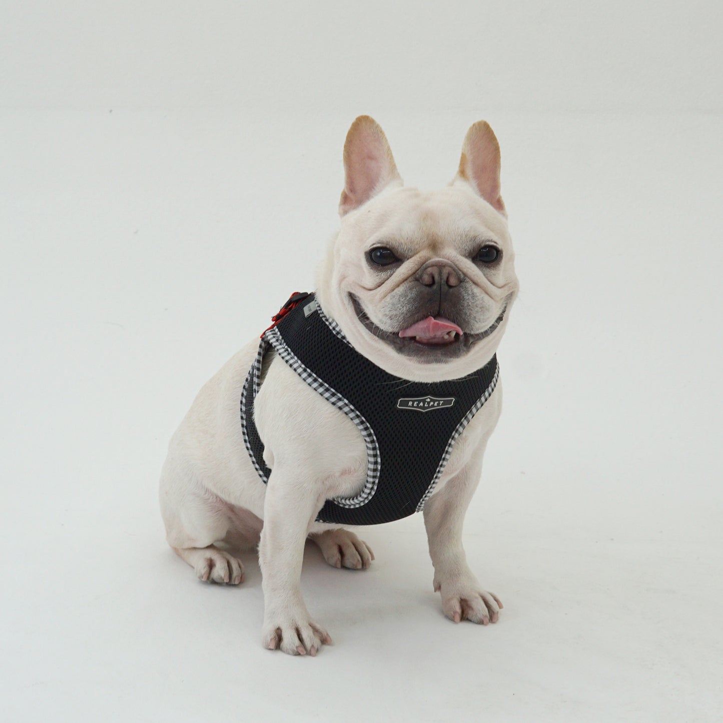 PASTEL CHECK HARNESS