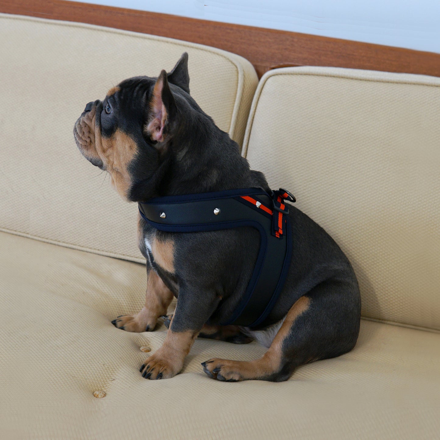 STUD HARNESS