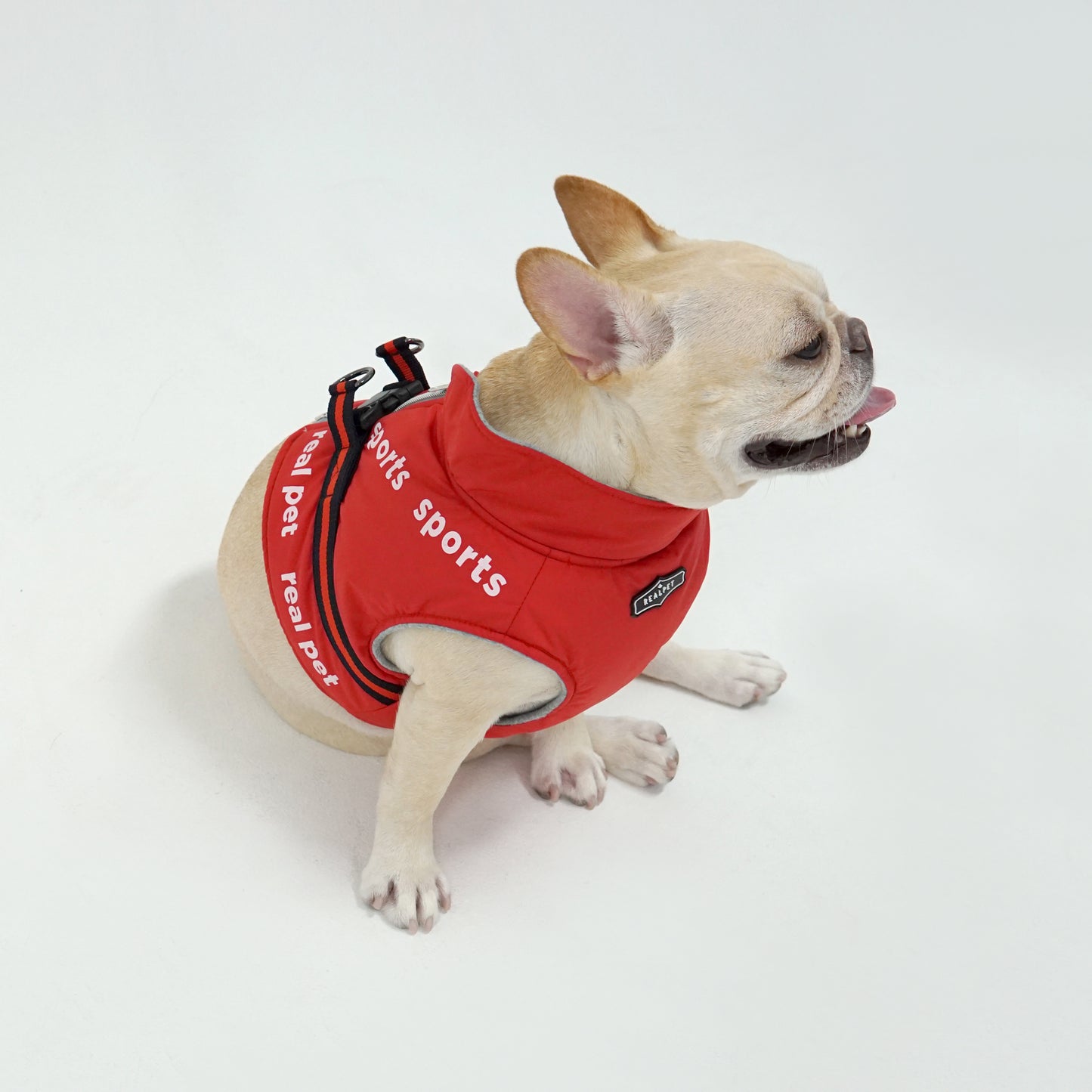 SPORT SHORT PADDING HARNESS