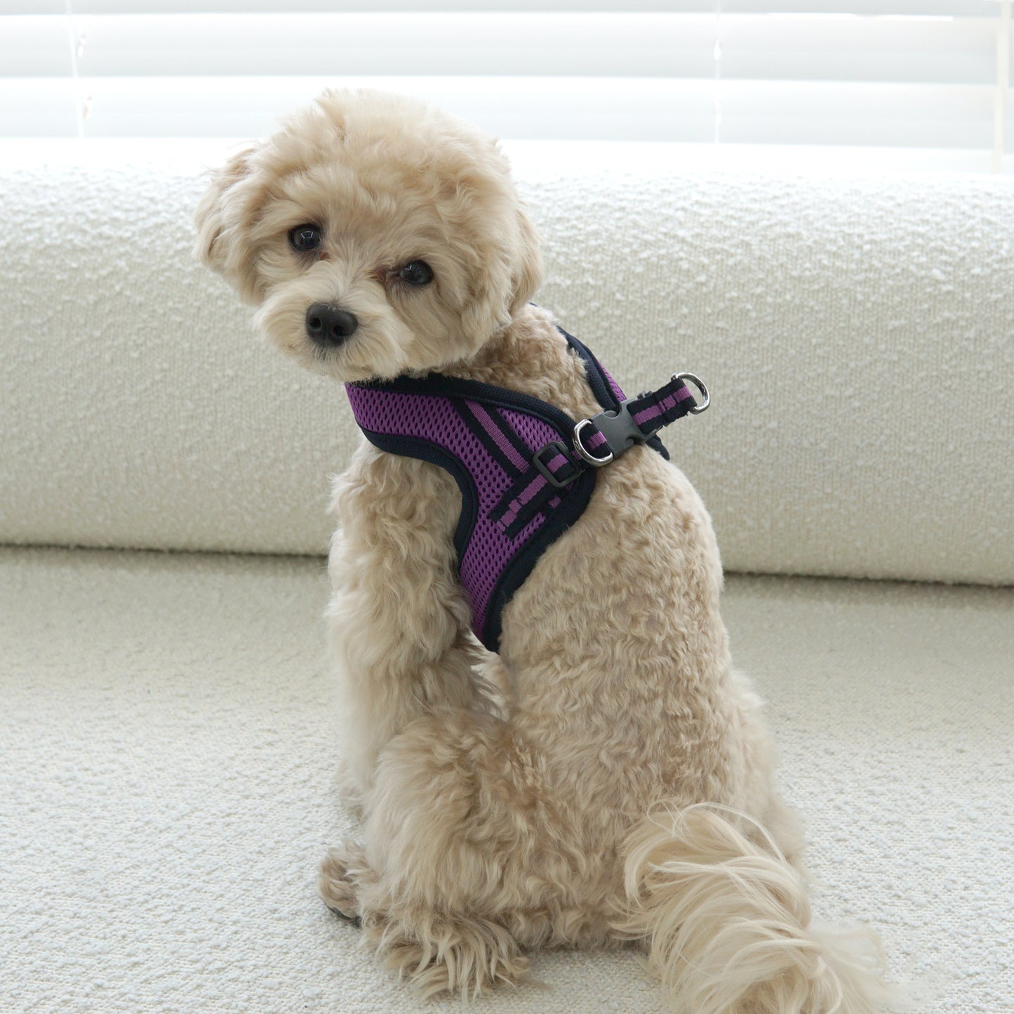 SIMPLY CONTROL HARNESS