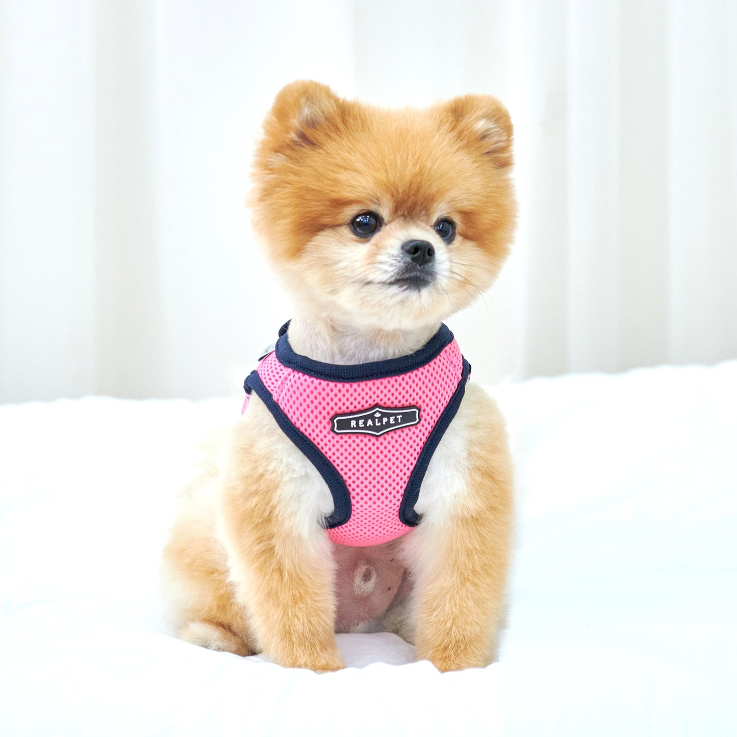 FREE SAFE HARNESS