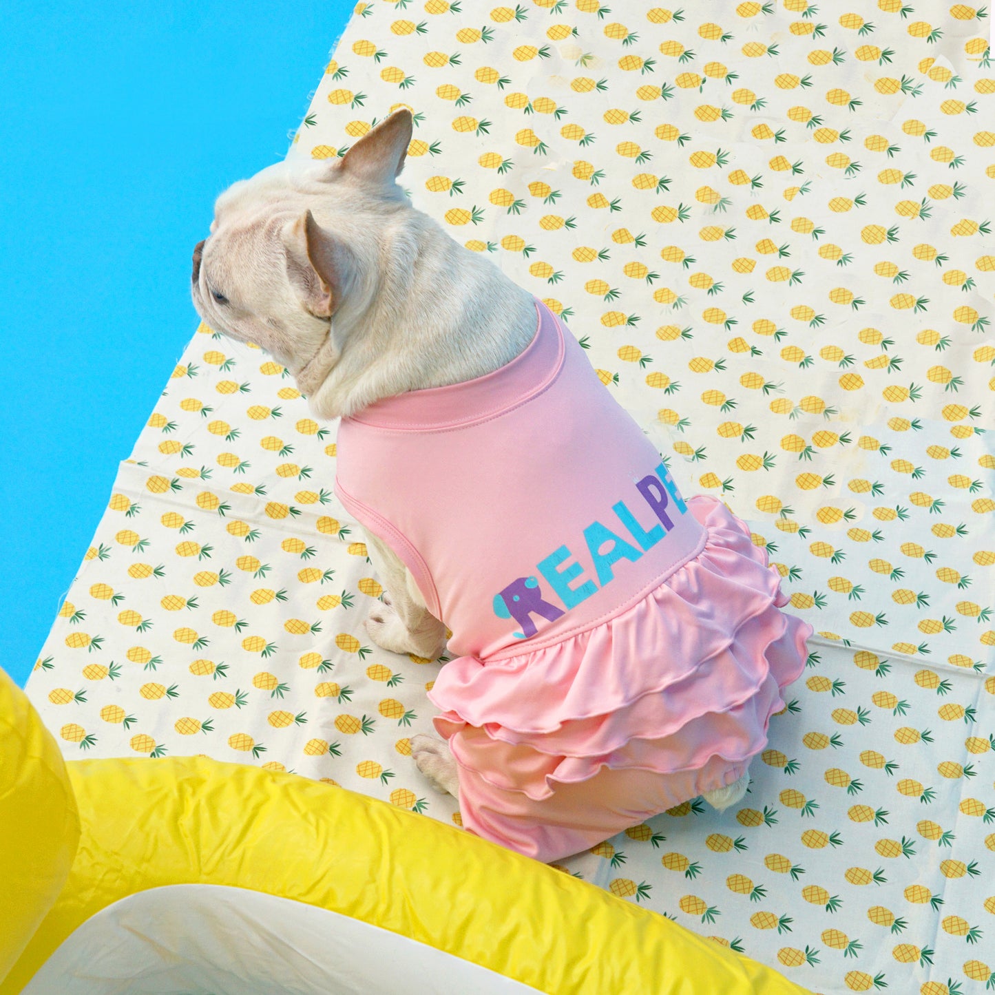 FRILL ALL IN ONE RASHGAURD