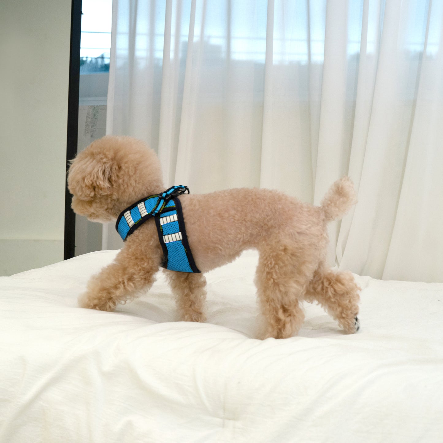 SAFE GLOW HARNESS