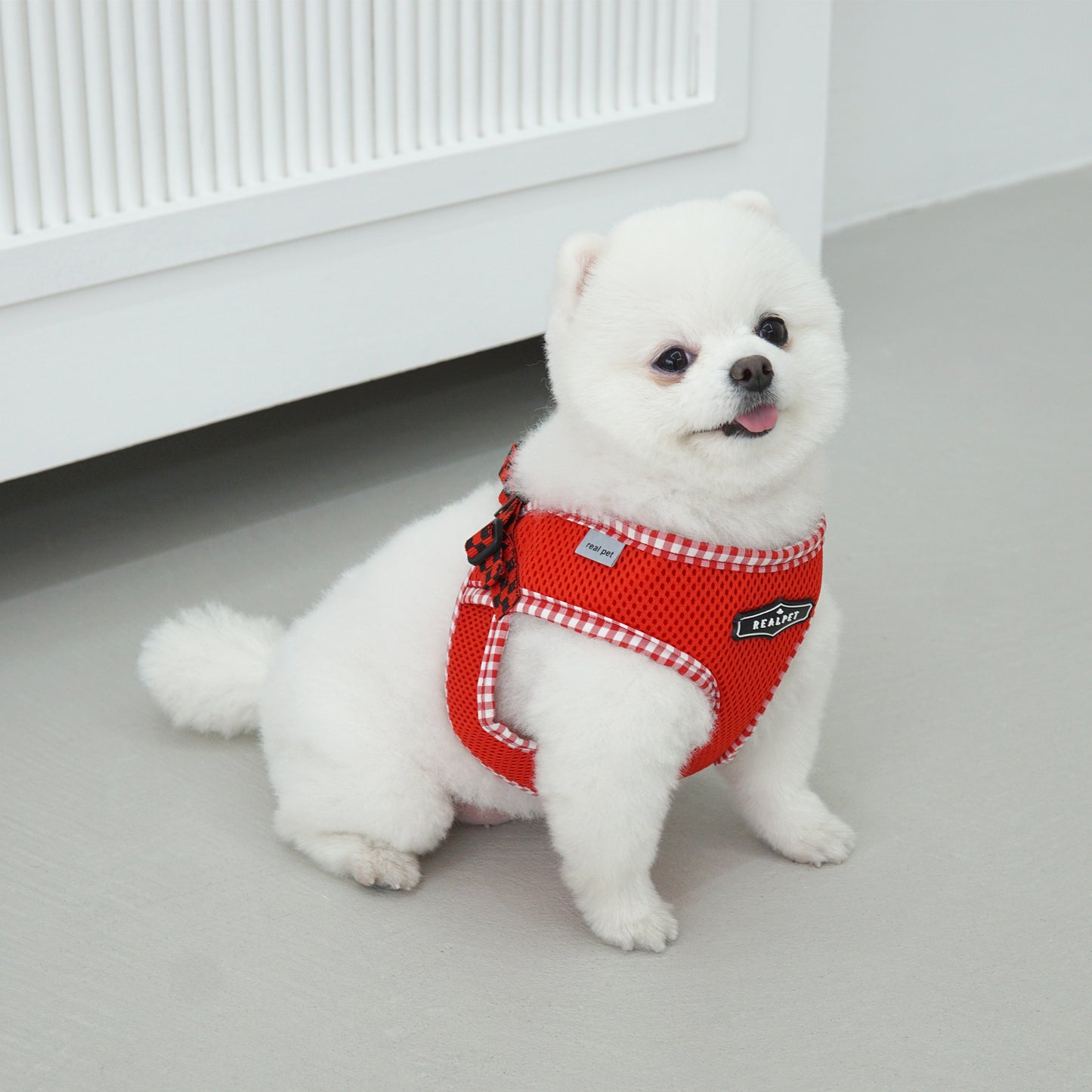 PASTEL CHECK HARNESS