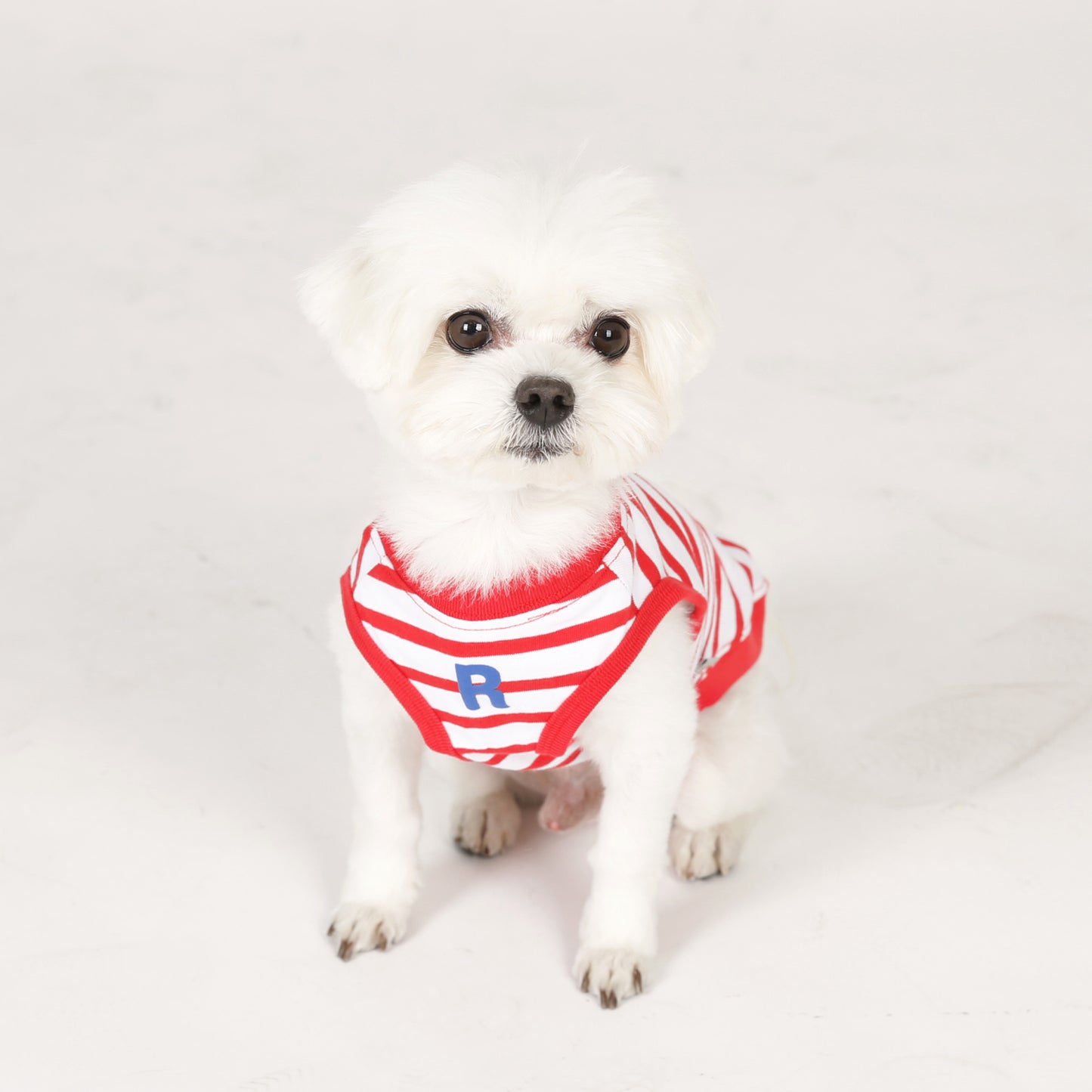 MARINE STRIPE ROUND