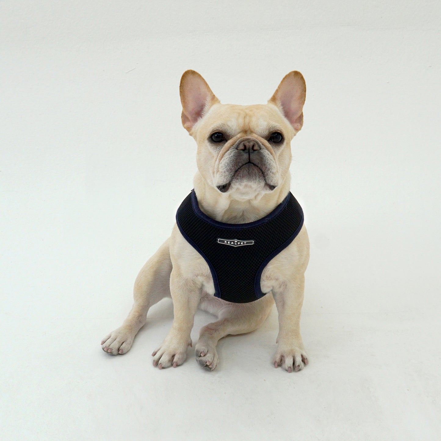 EAZY CONTROL HARNESS