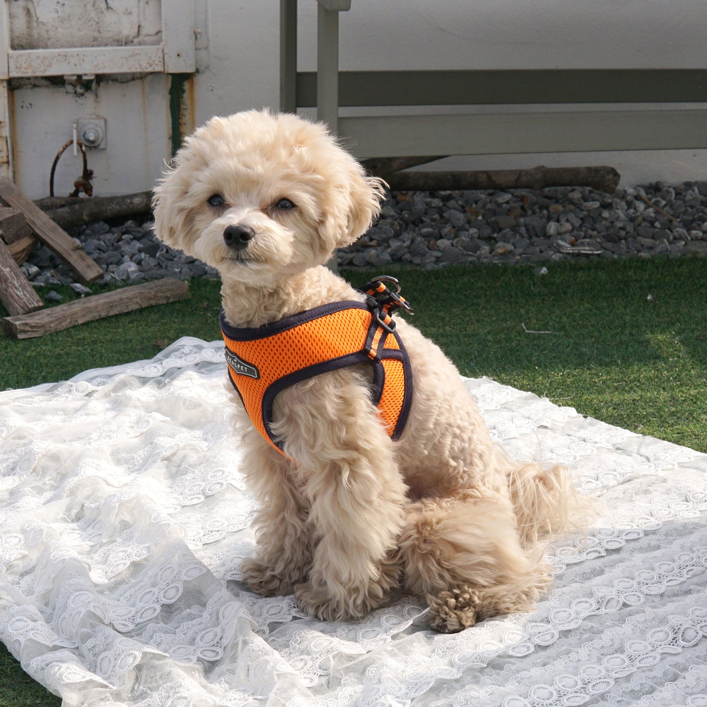 EAZY CONTROL HARNESS