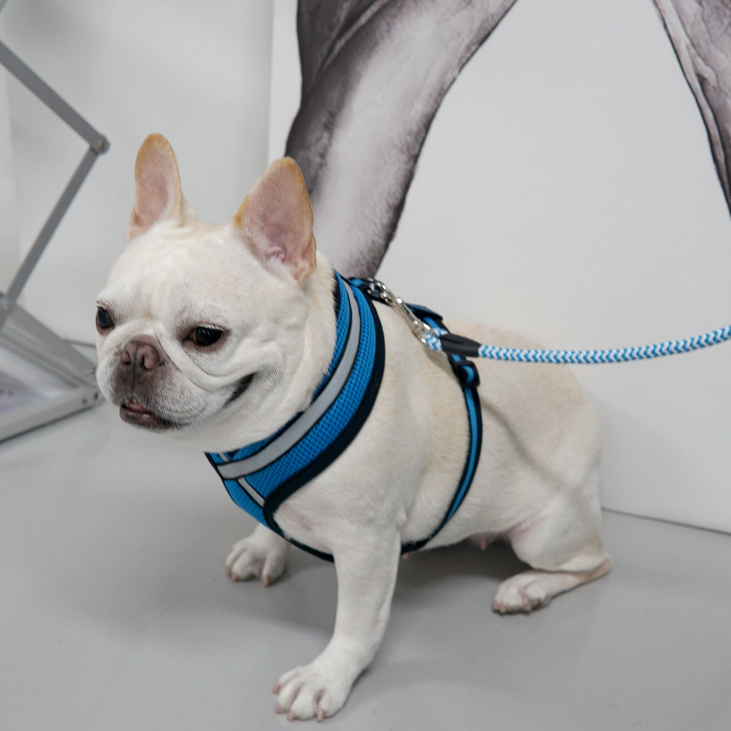 STRETCH 3M HARNESS