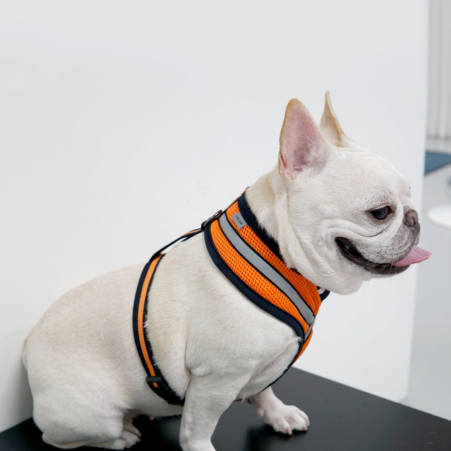 STRETCH 3M HARNESS