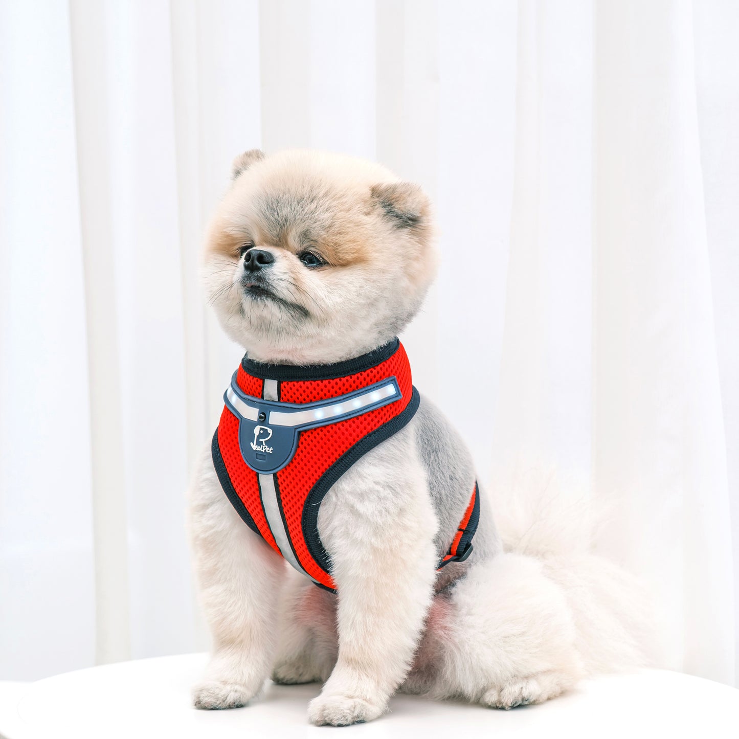 WHITE LED HARNESS
