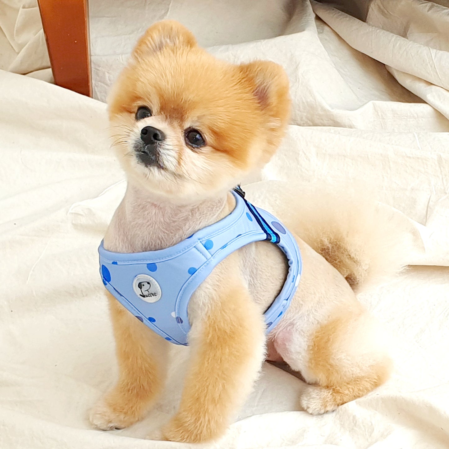 DOT SLIM HARNESS