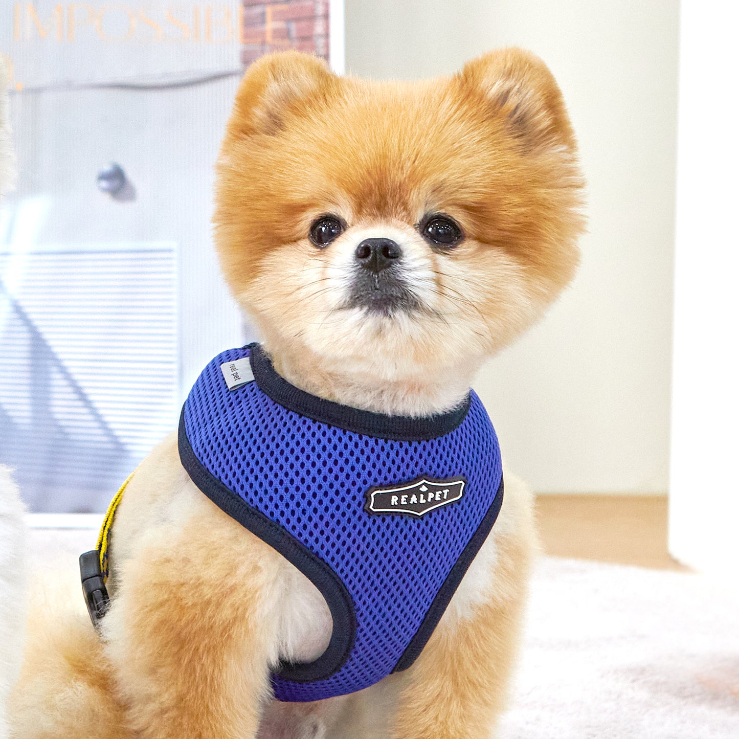 UNIQUE BOA HARNESS