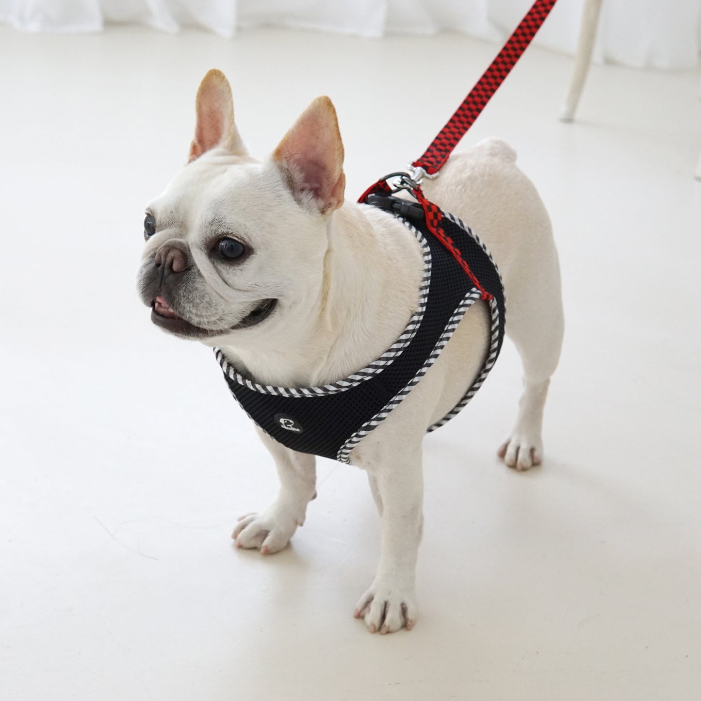 CHECK SLIM HARNESS