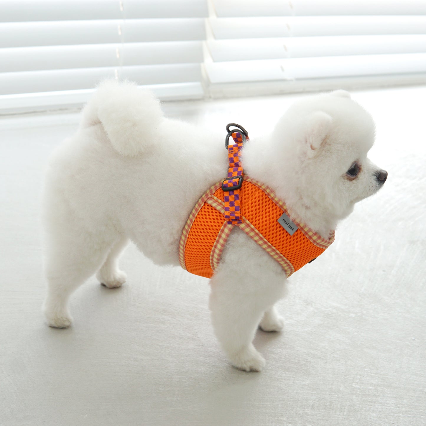 PASTEL CHECK HARNESS