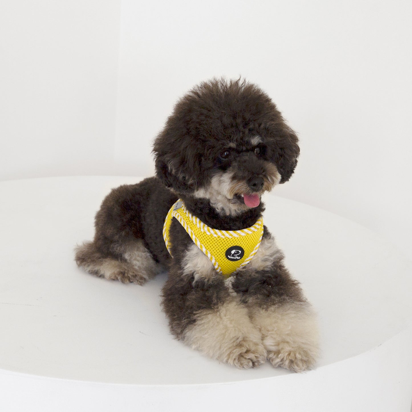 CHECK SLIM HARNESS