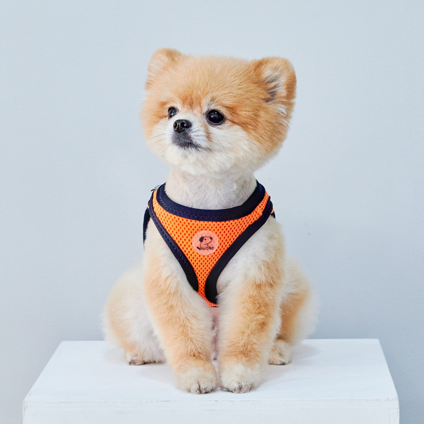 FOUR-SEASON SLIM VEST HARNESS