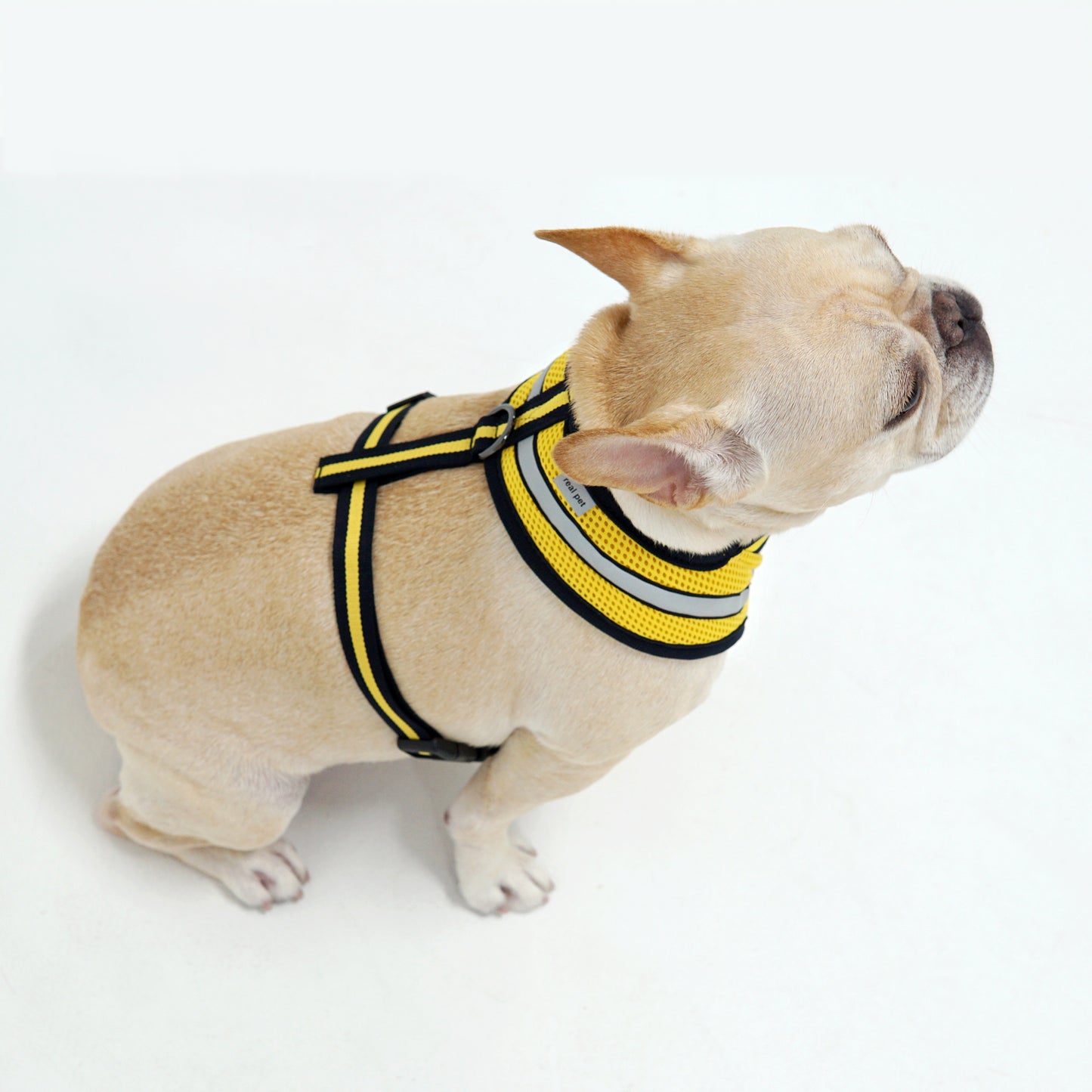 STRETCH 3M HARNESS