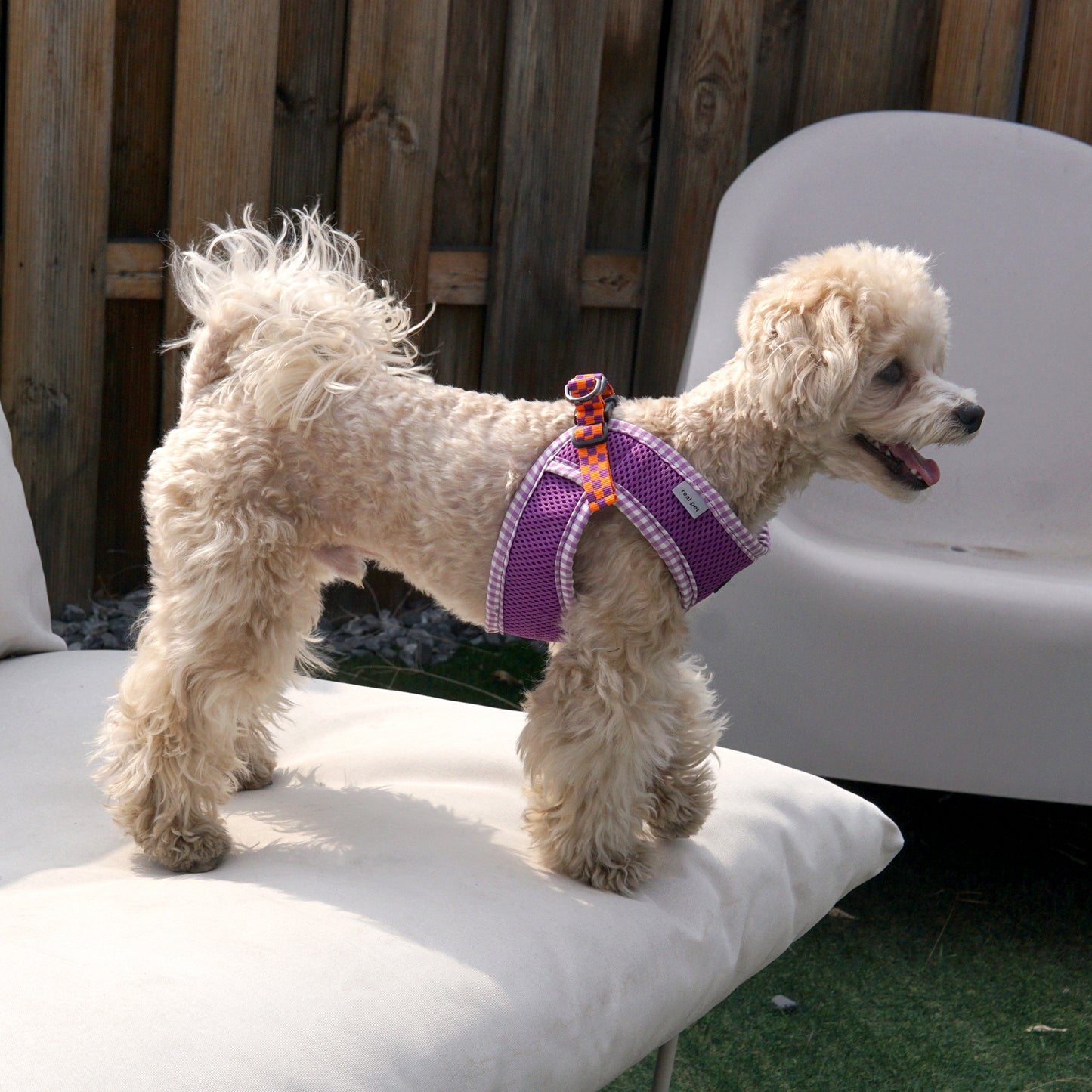 PASTEL CHECK HARNESS