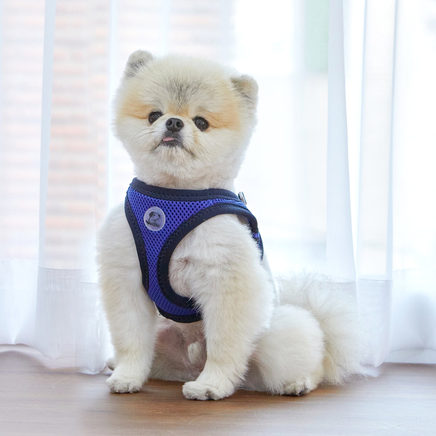 FOUR-SEASON SLIM VEST HARNESS
