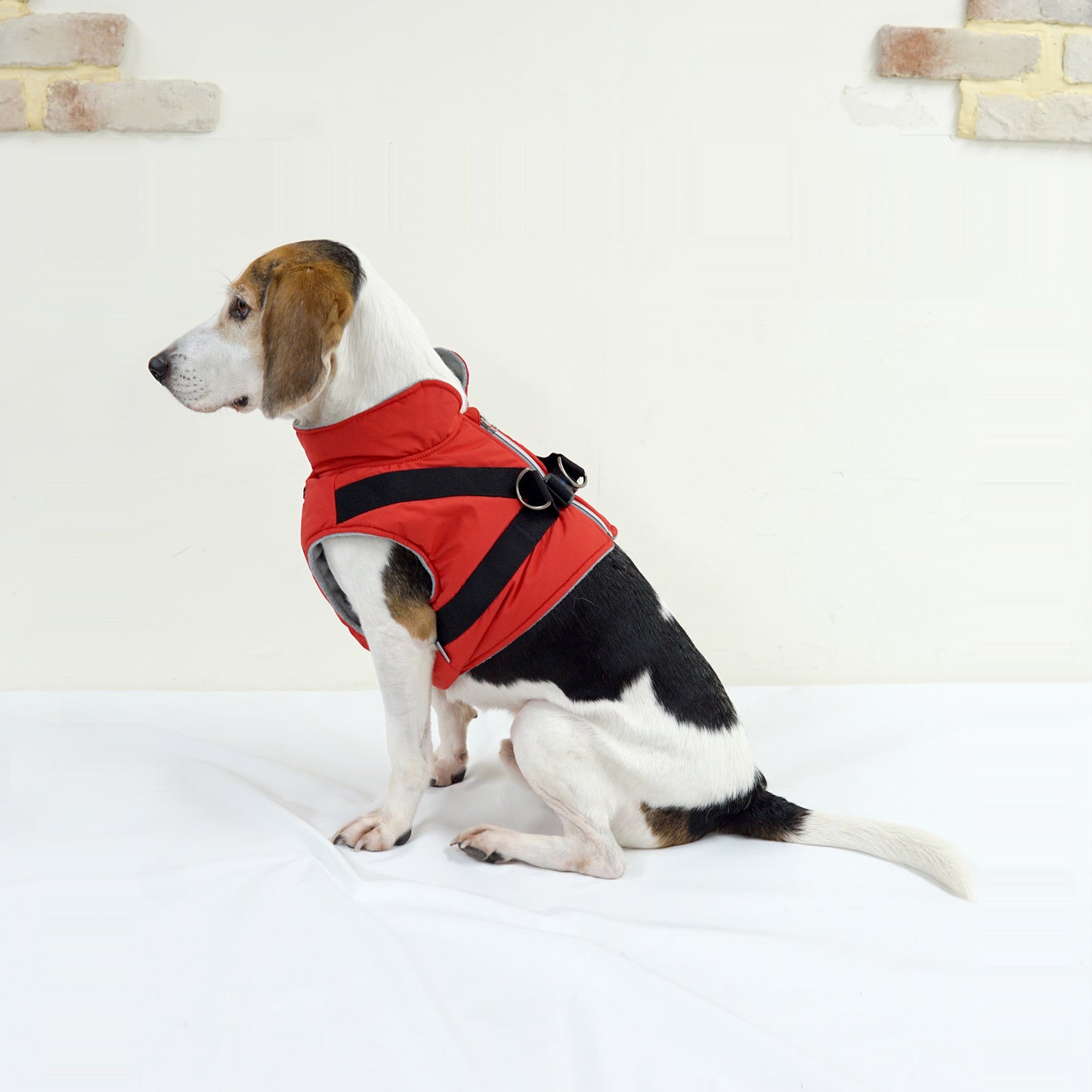 LARGE DOG PADDING HARNESS