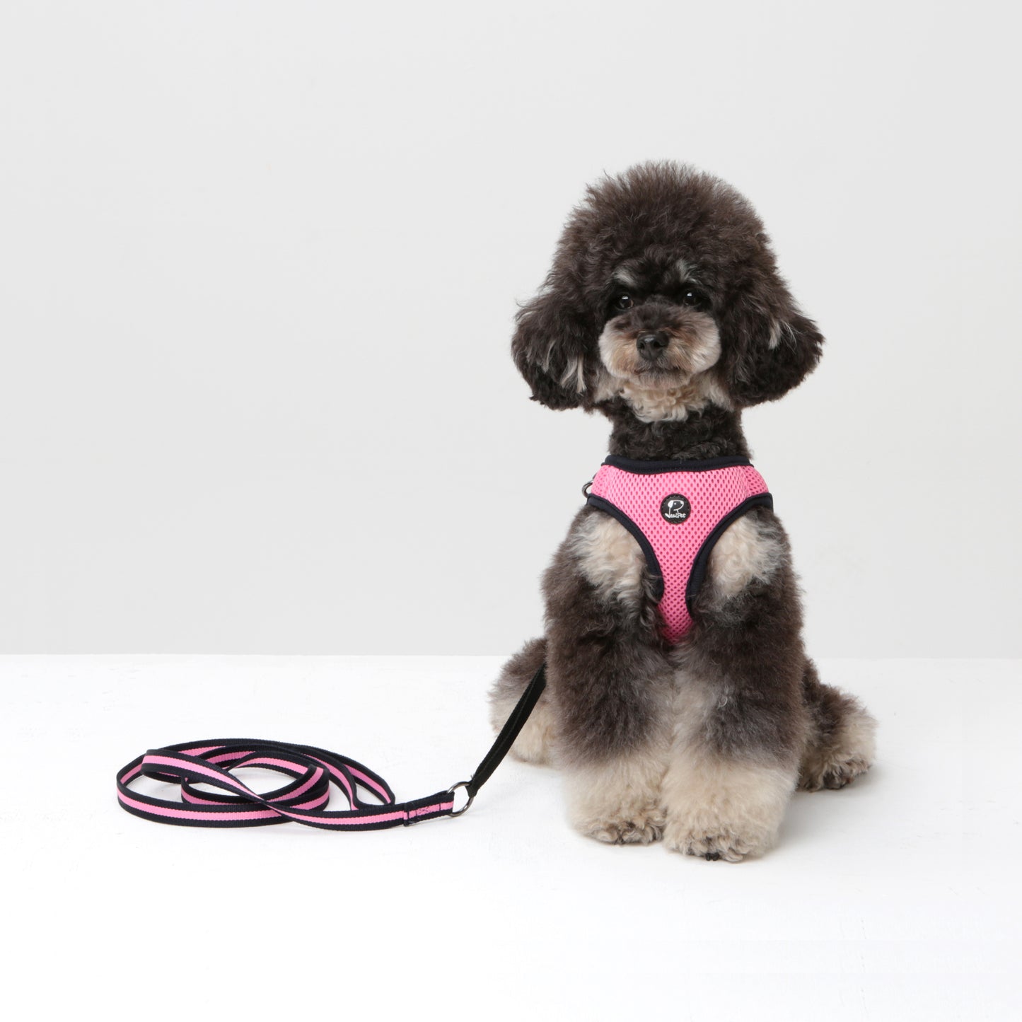 Dog Strong Vest Harness and Lead Set