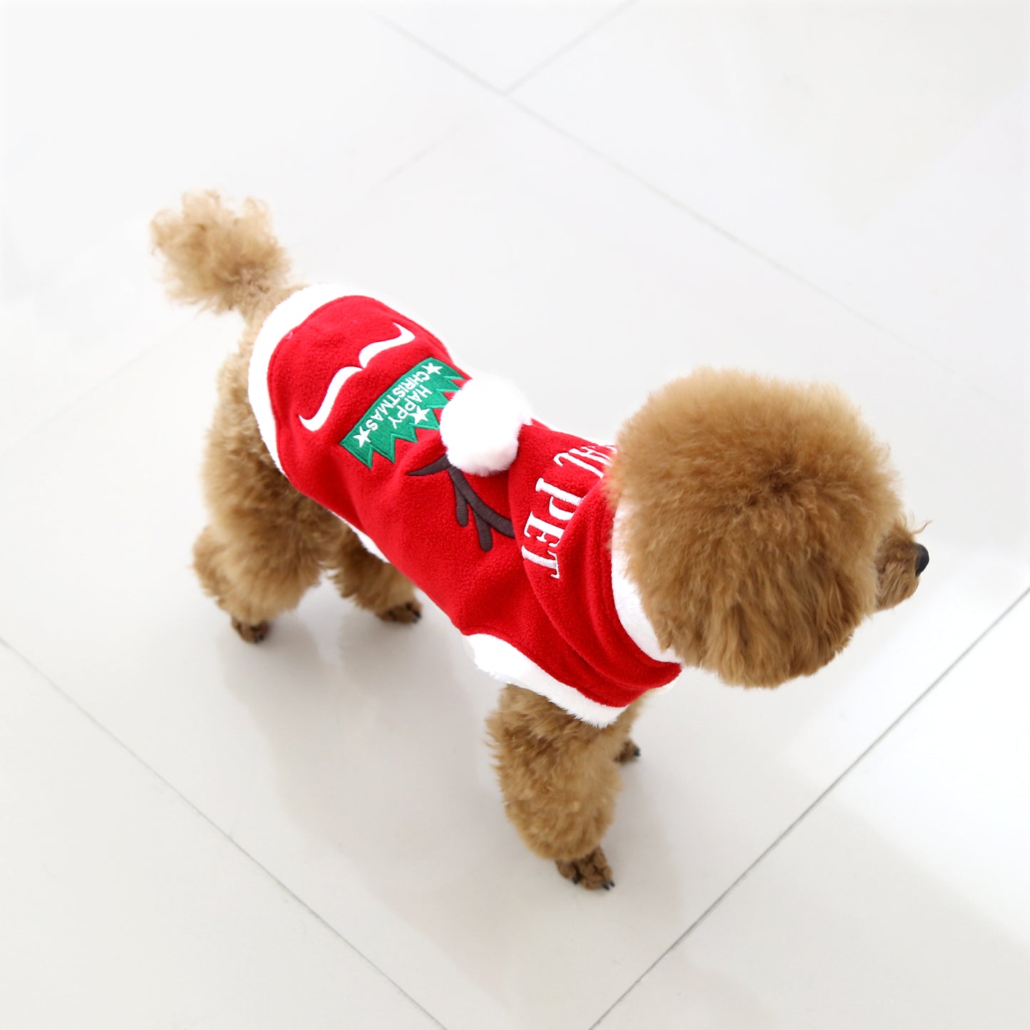 RUDOLPH, THE RED - NOSED REINDEER/RED