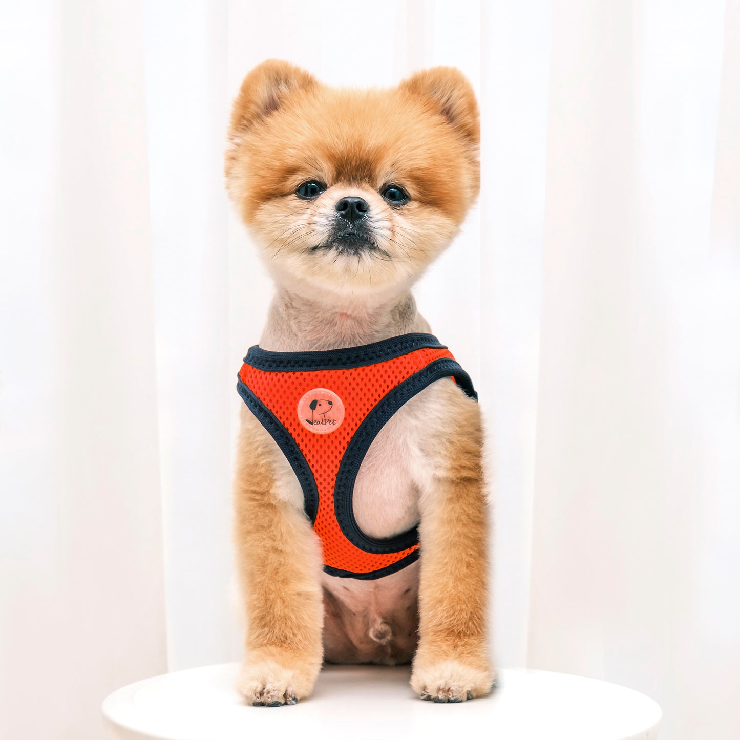 FOUR-SEASON SLIM VEST HARNESS