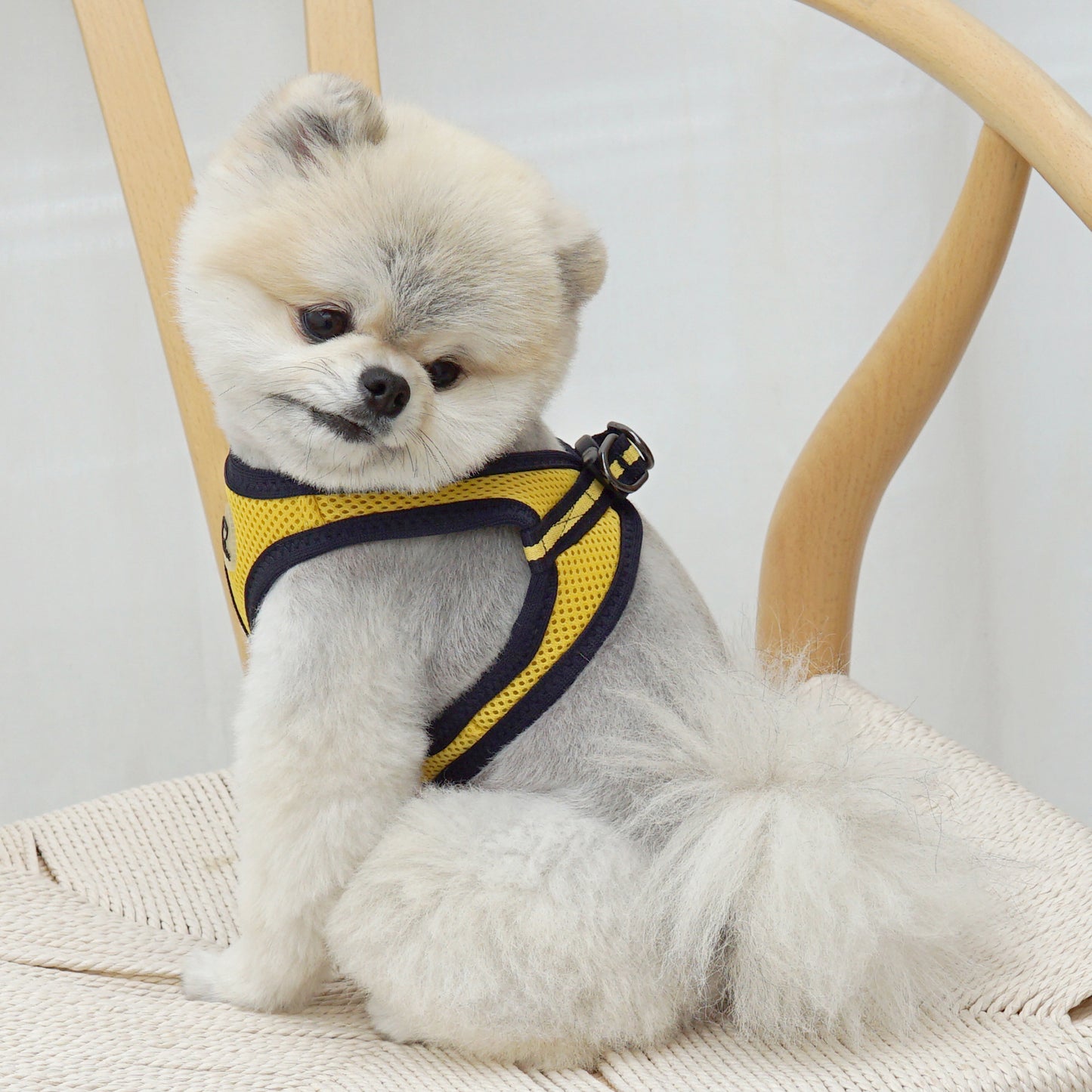 FOUR-SEASON SLIM VEST HARNESS