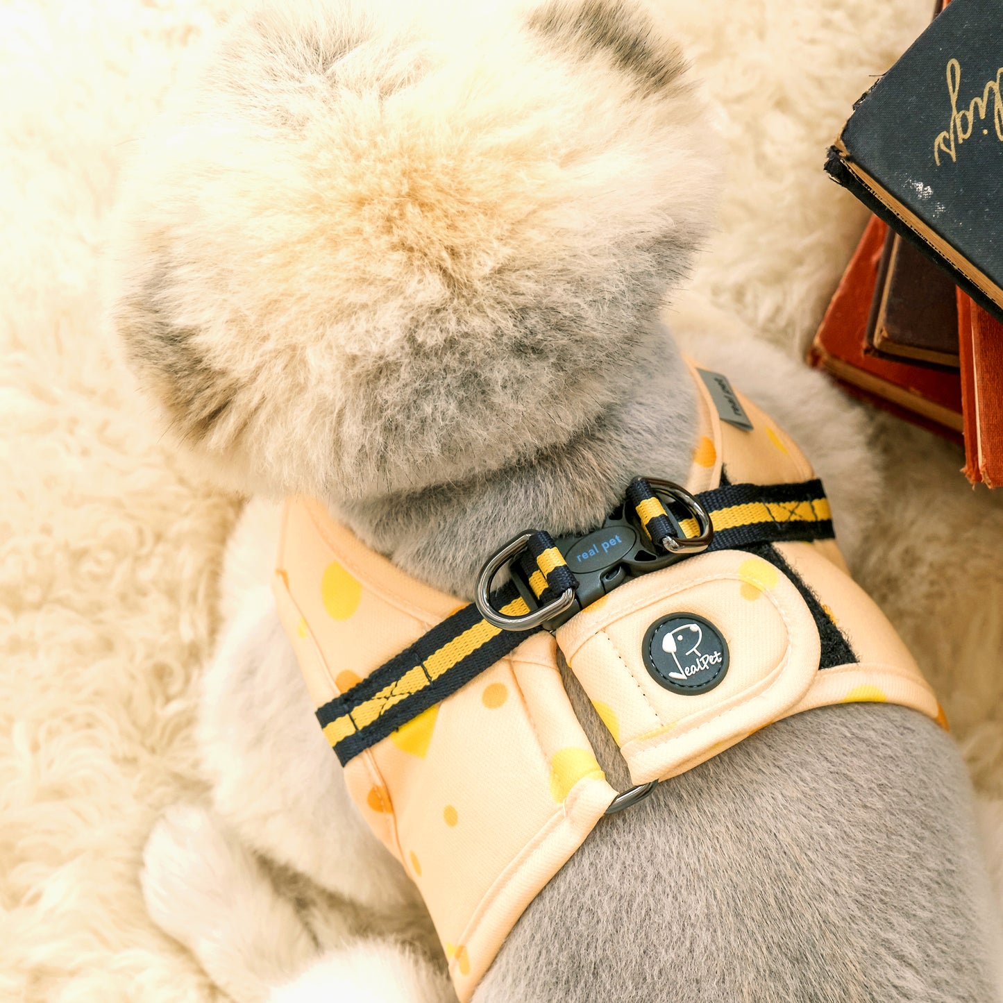 DOT VEST HARNESS