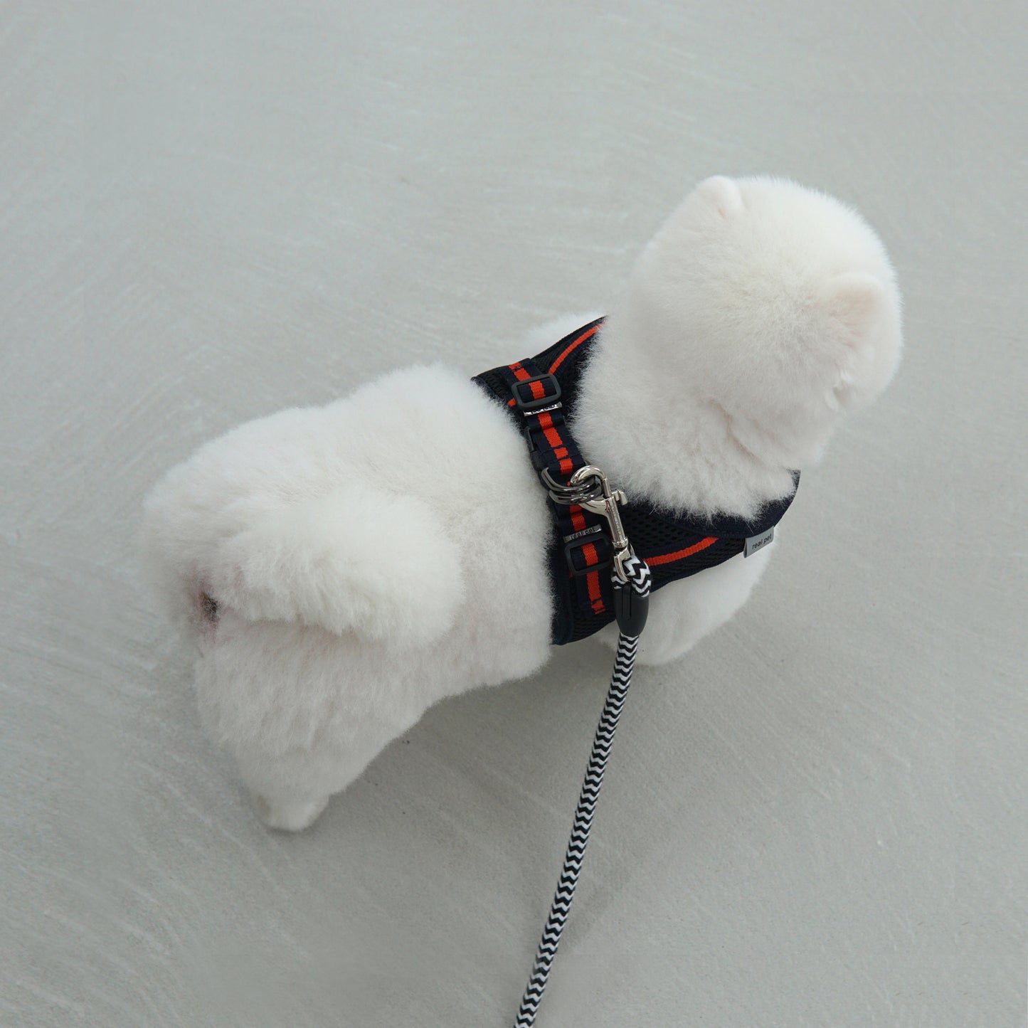 SIMPLY CONTROL HARNESS