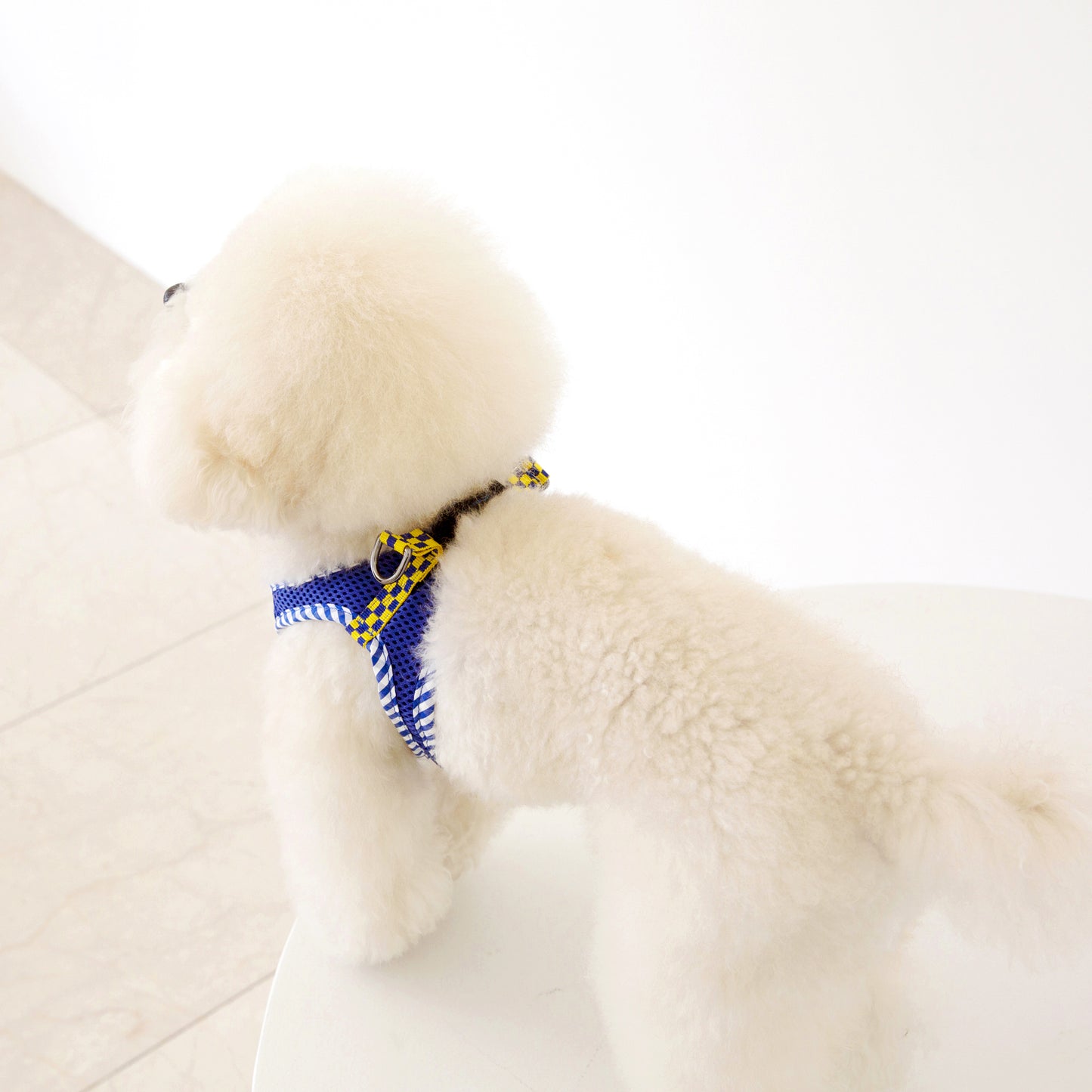 CHECK SLIM HARNESS