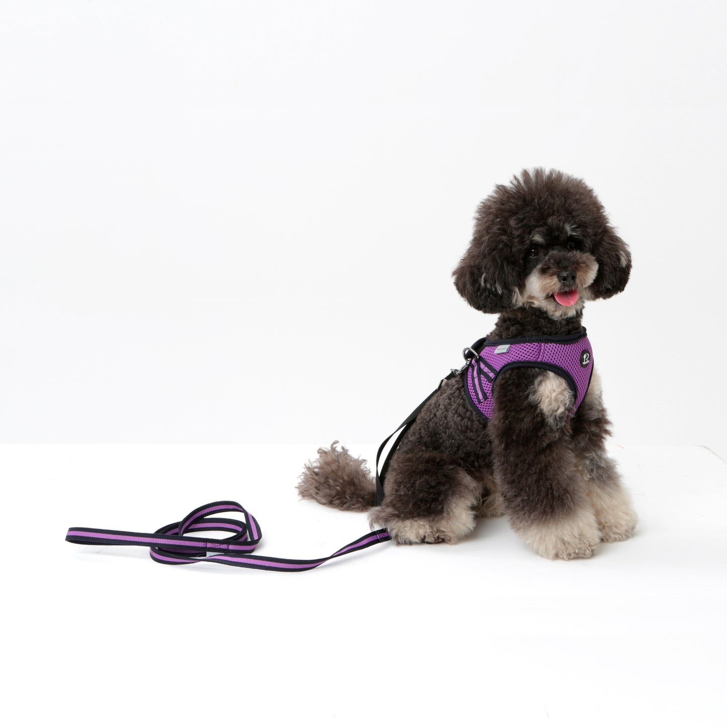 Dog Strong Vest Harness and Lead Set
