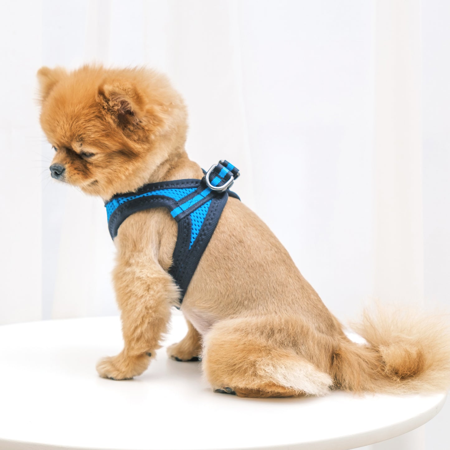 FOUR-SEASON SLIM VEST HARNESS