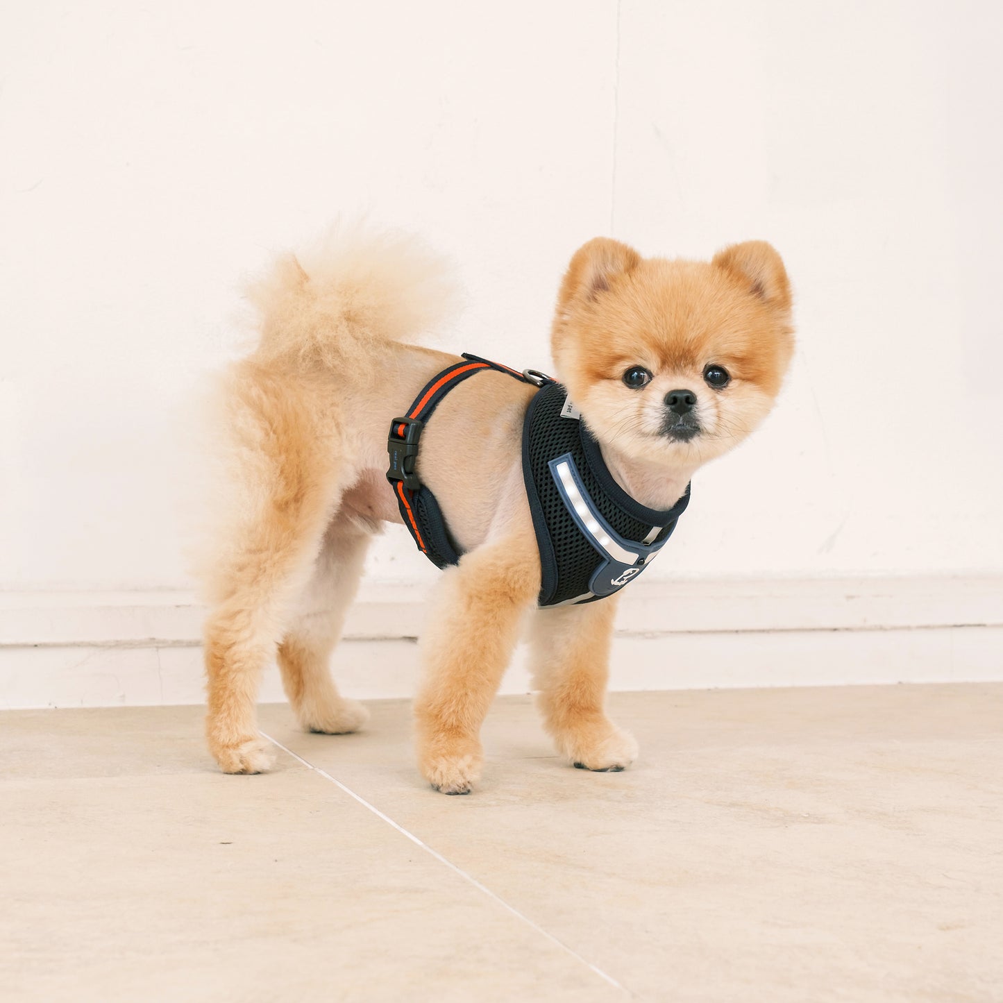 WHITE LED HARNESS