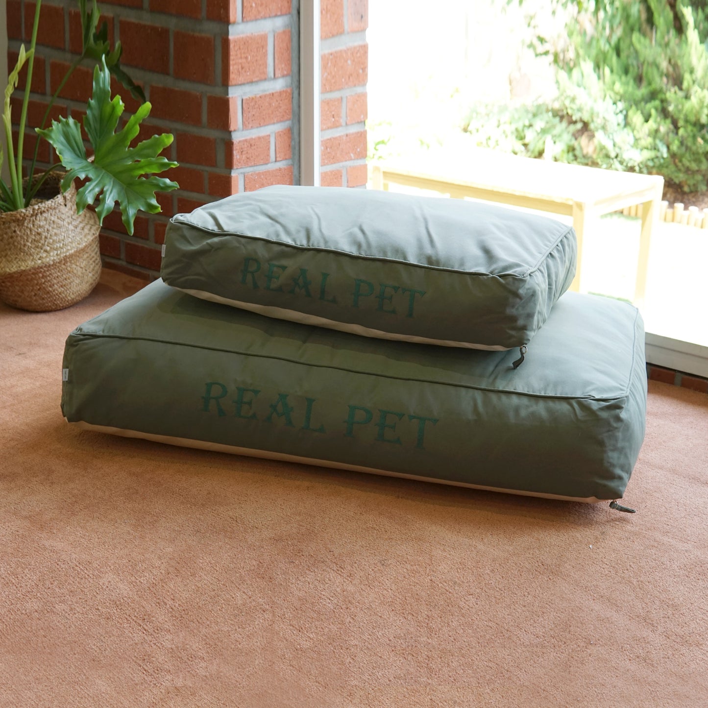 MODERN CUSHION