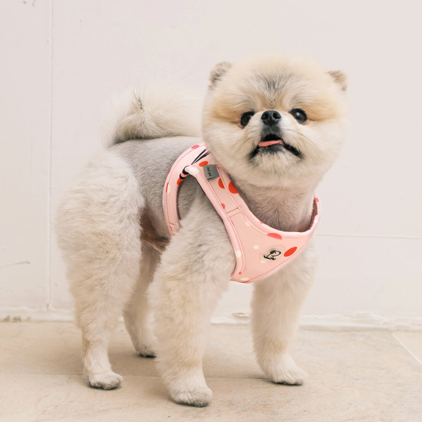 DOT SLIM HARNESS