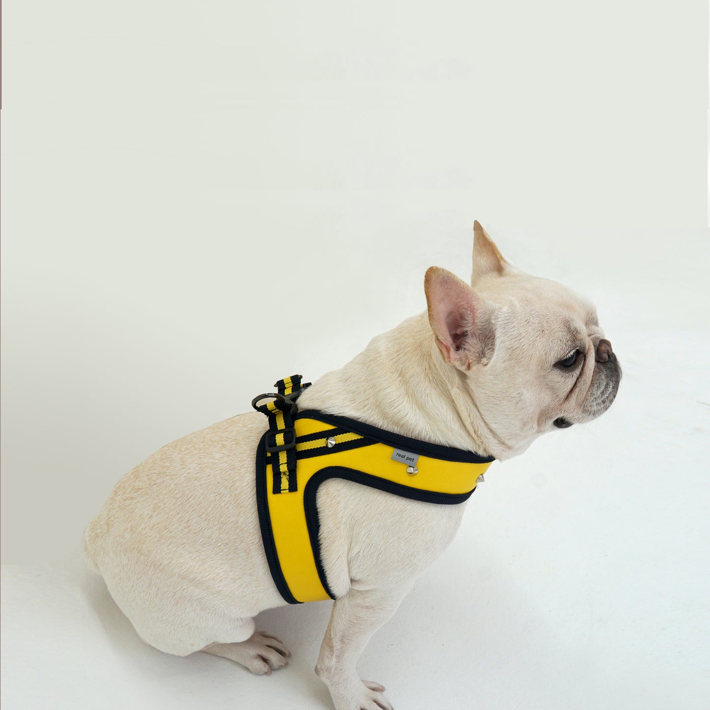 STUD HARNESS