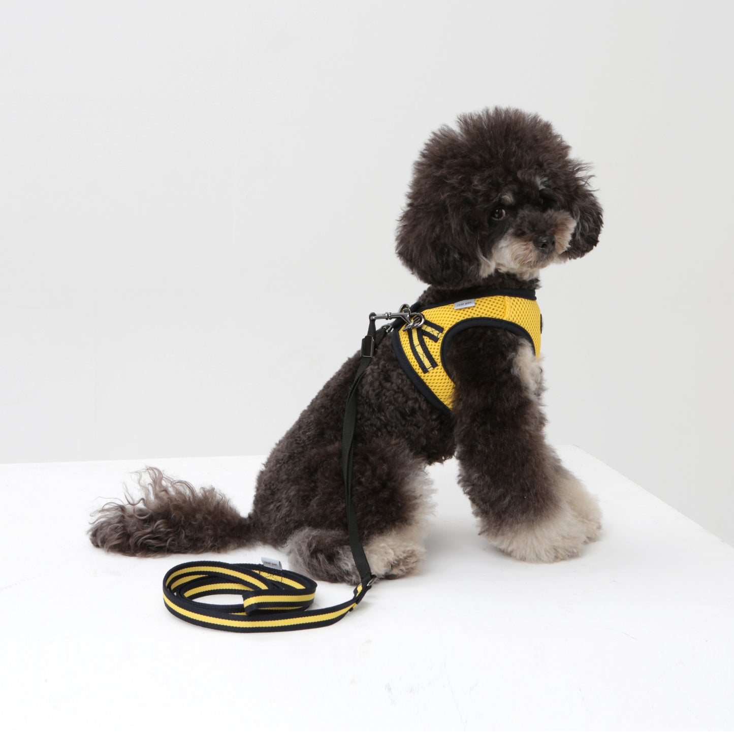 Dog Strong Vest Harness and Lead Set