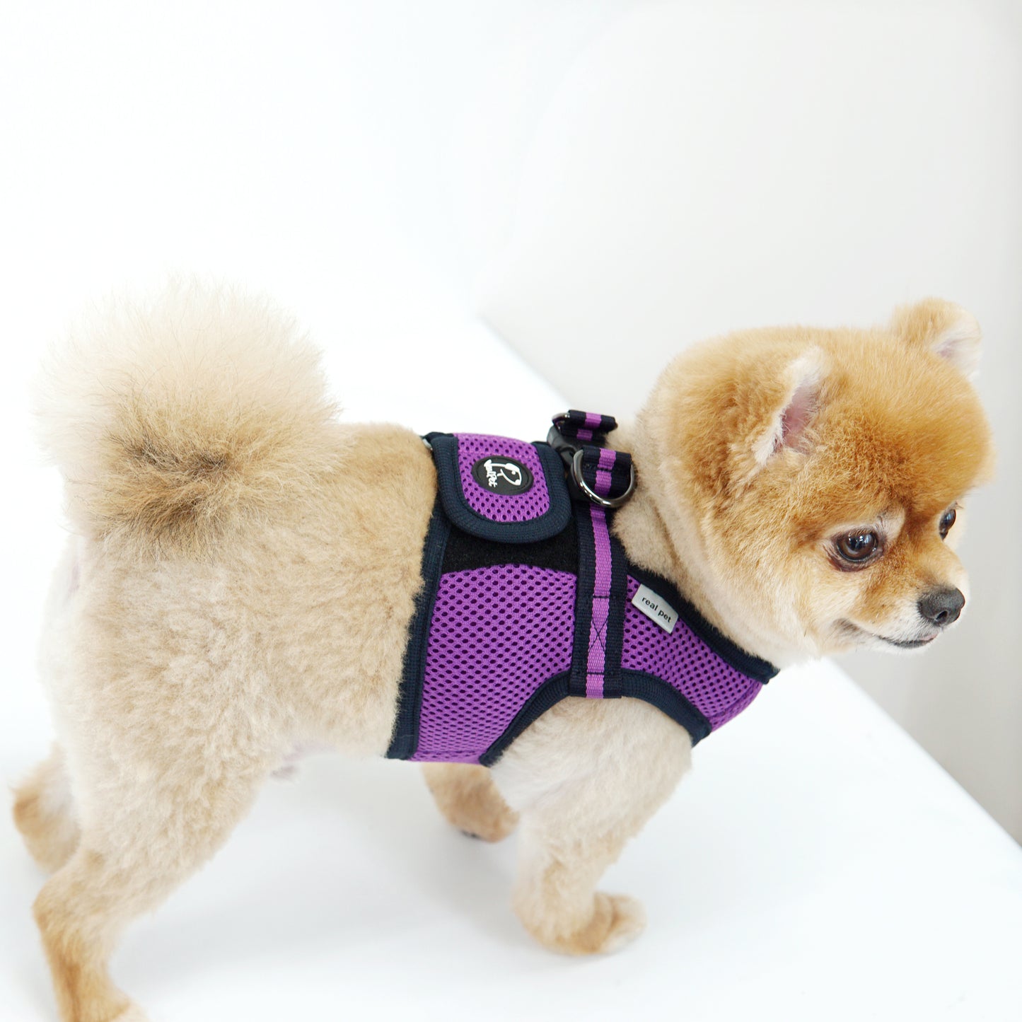 FREE SAFE HARNESS