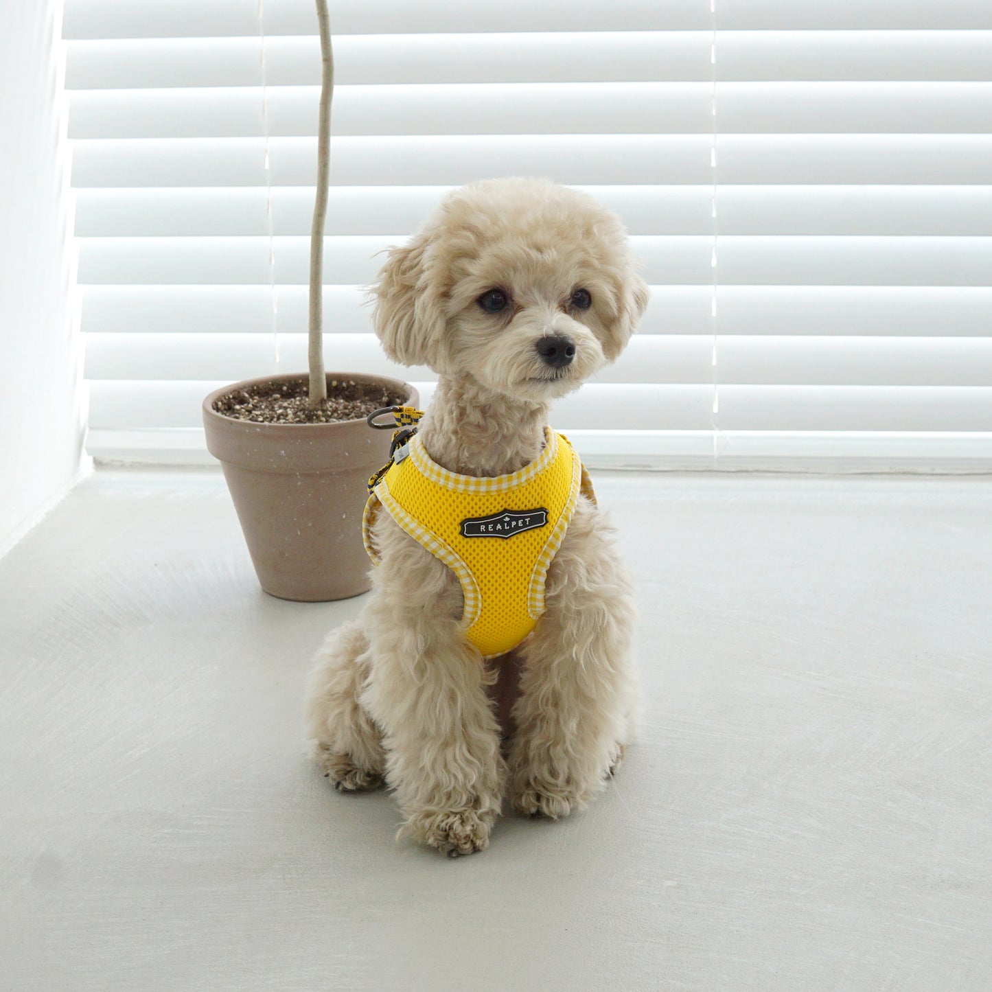 PASTEL CHECK HARNESS