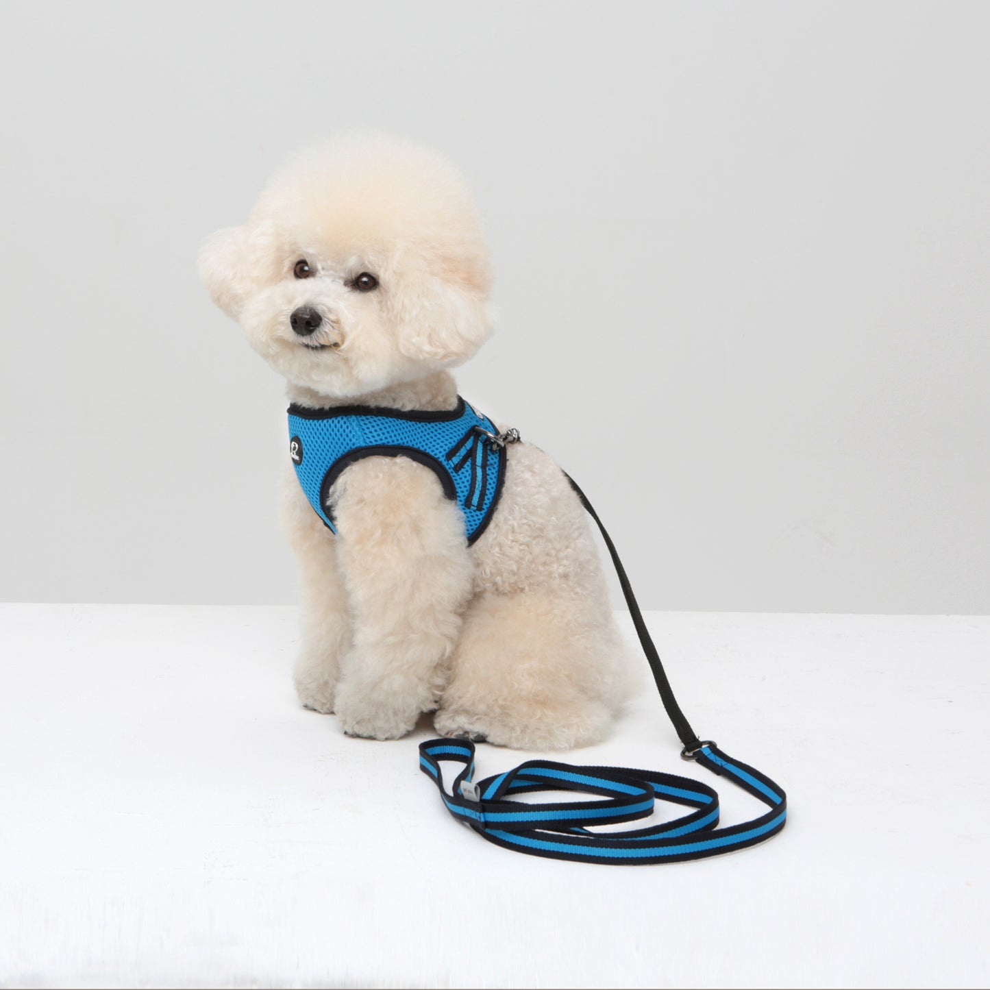 Dog Strong Vest Harness and Lead Set